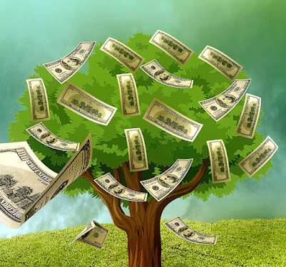 money tree